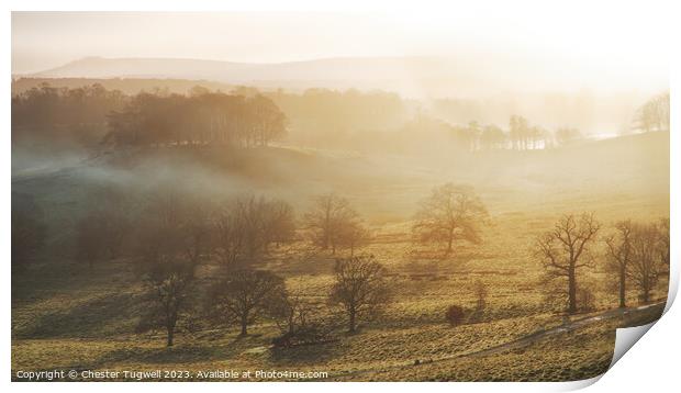 Petworth Park Winter's Sunrise Print by Chester Tugwell