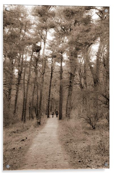 Ogden Water Pathway 02 Sepia Acrylic by Glen Allen