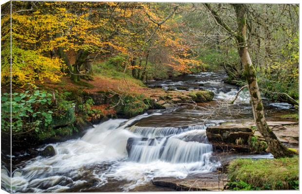 Caerfanell Falls in Taff Fechan Valley Brecon Beac Canvas Print by Nick Jenkins