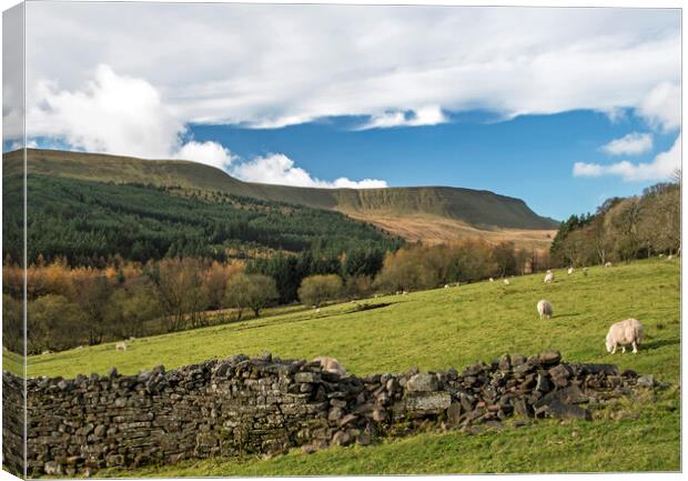 Upper Neuadd Valley Central Brecon Beacons  Canvas Print by Nick Jenkins