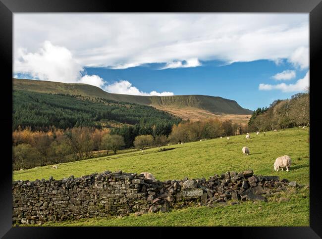 Upper Neuadd Valley Central Brecon Beacons  Framed Print by Nick Jenkins