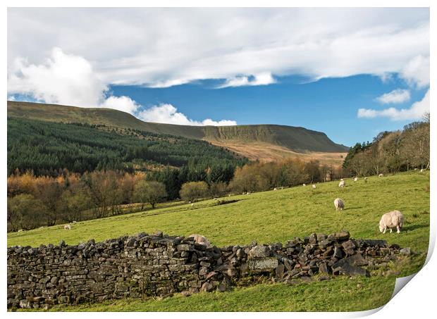 Upper Neuadd Valley Central Brecon Beacons  Print by Nick Jenkins