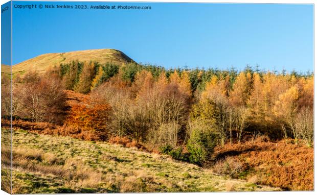 Torpantau Hill in Autumn Brecon Beacons  Canvas Print by Nick Jenkins