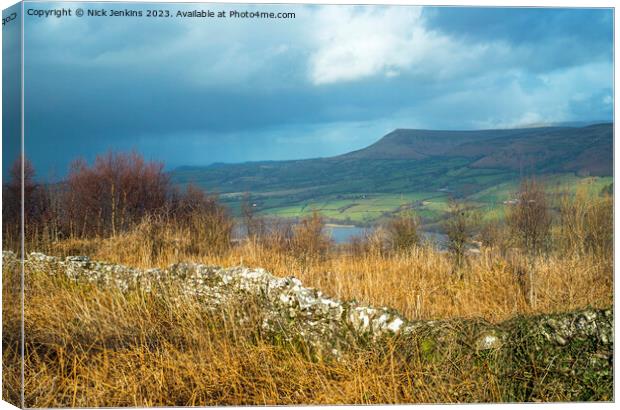 View from Allt yr Esgair to Mynydd Troed Canvas Print by Nick Jenkins