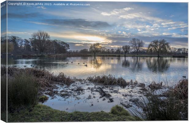 Cold early January dawn at Bushy Park Canvas Print by Kevin White