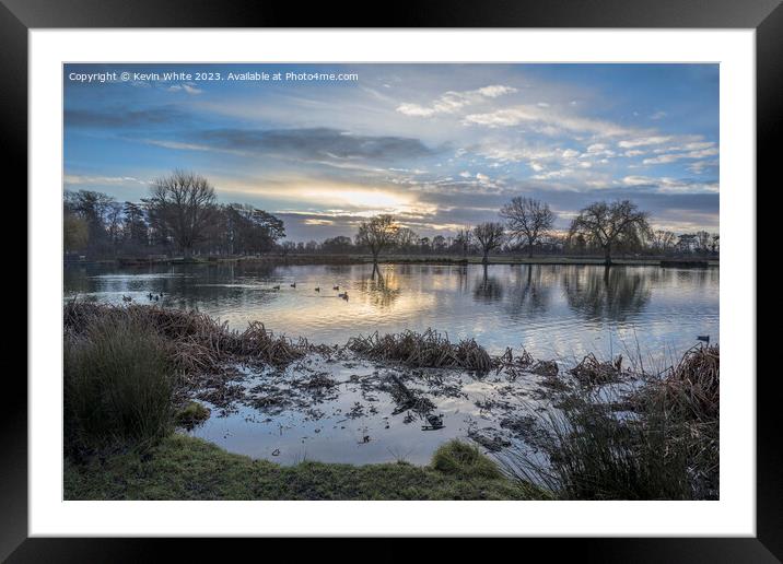 Cold early January dawn at Bushy Park Framed Mounted Print by Kevin White