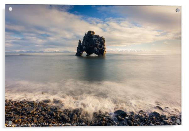 Hvitserkur rock formation in northern icelandic coast Acrylic by Paulo Rocha