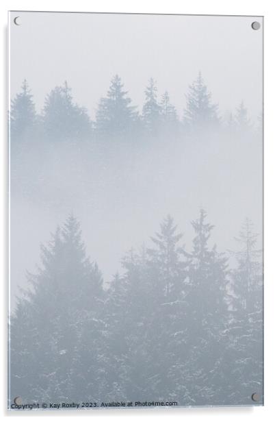 Misty pine trees Acrylic by Kay Roxby