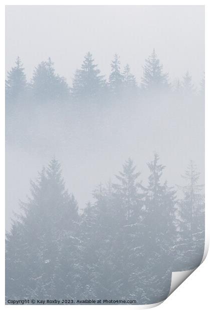 Misty pine trees Print by Kay Roxby