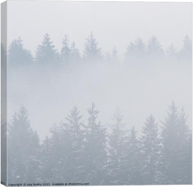 Misty Pine Trees Canvas Print by Kay Roxby