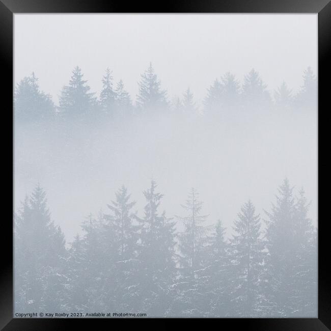 Misty Pine Trees Framed Print by Kay Roxby