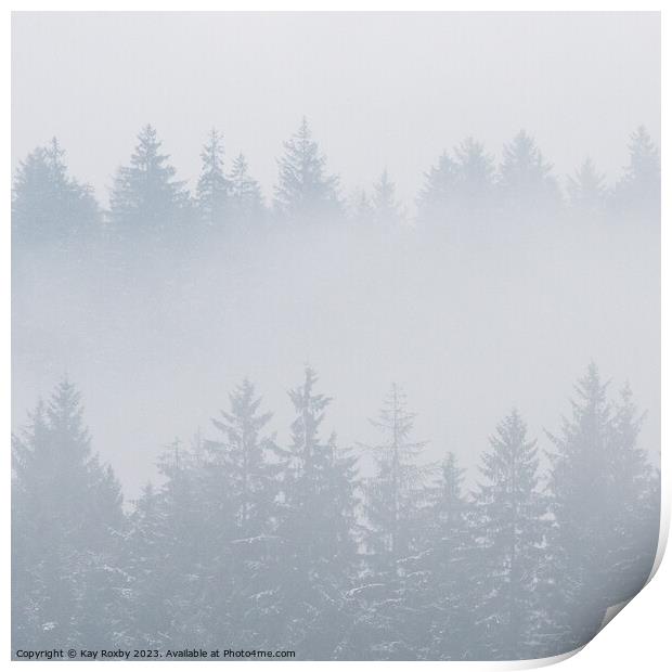 Misty Pine Trees Print by Kay Roxby