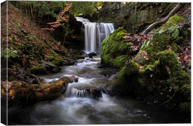 LRC03709Longford waterfall Canvas Print by Leighton Collins