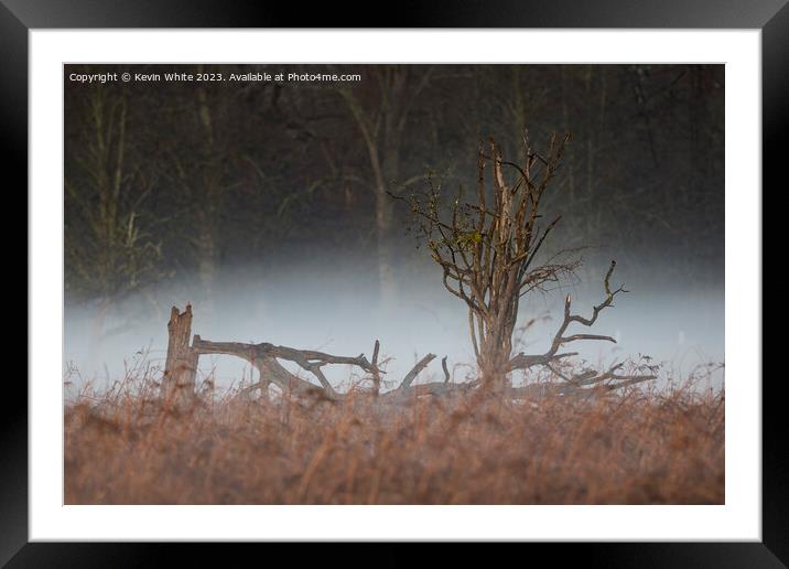 Storm tree damge with morning mist Framed Mounted Print by Kevin White