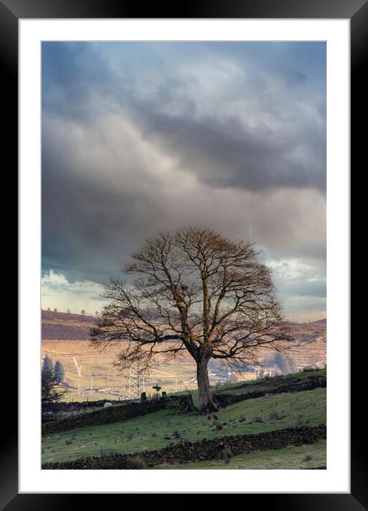 Baiting's Tree Framed Mounted Print by Glen Allen