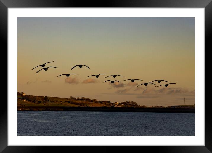 Flight into the sunset. Framed Mounted Print by Glen Allen