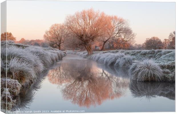 Winter at Beverley Brook Canvas Print by Sarah Smith
