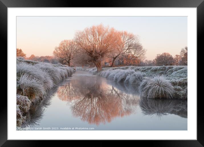 Winter at Beverley Brook Framed Mounted Print by Sarah Smith