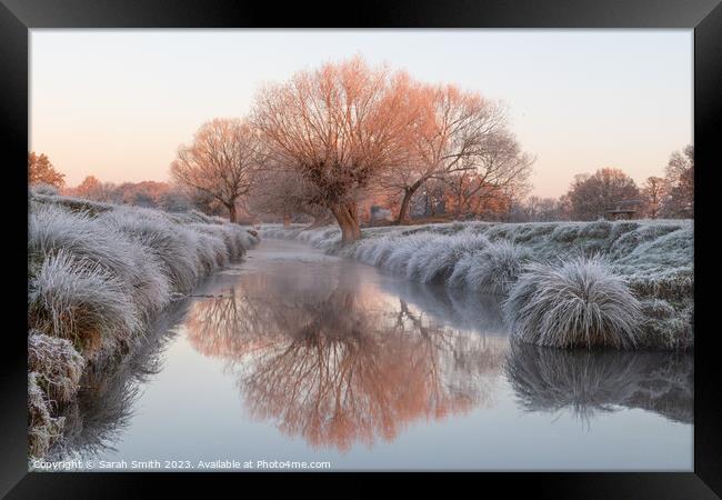 Winter at Beverley Brook Framed Print by Sarah Smith
