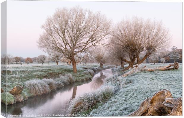 A Frosty Morning at Beverley Brook Canvas Print by Sarah Smith