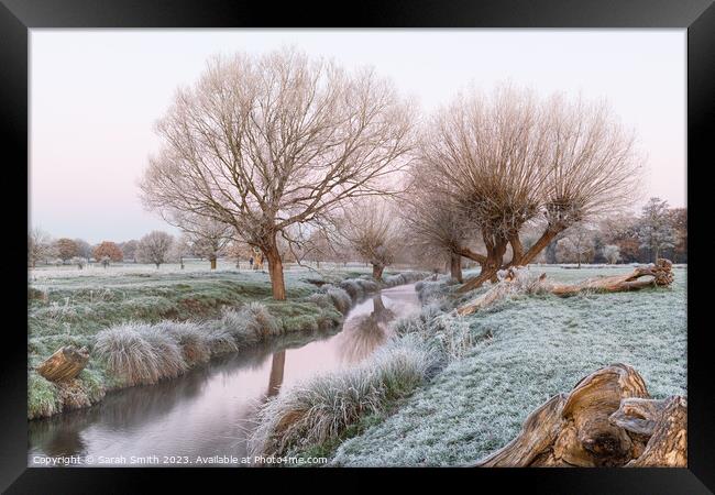 A Frosty Morning at Beverley Brook Framed Print by Sarah Smith