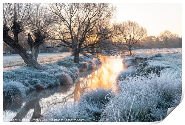 Frosty Sunrise at Beverley Brook Print by Sarah Smith