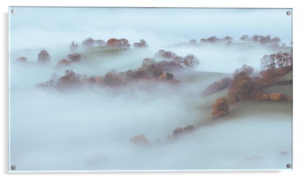 Misty morning Acrylic by Clive Ashton