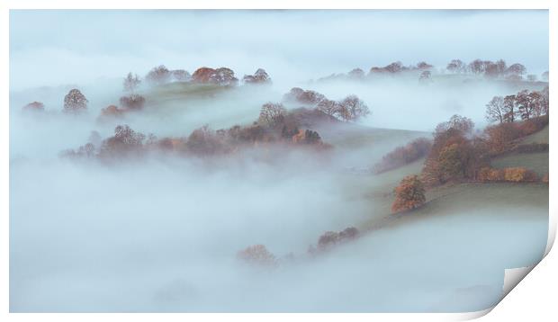 Misty morning Print by Clive Ashton