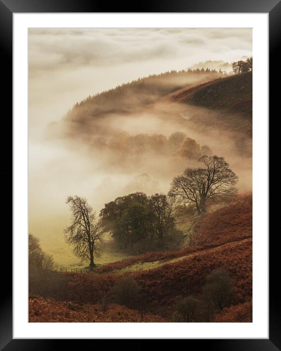 Dragon's Tail Framed Mounted Print by Clive Ashton