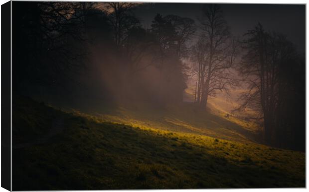 Early Morning Dog Walker Canvas Print by Clive Ashton
