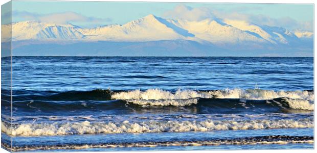 Breaking waves at Ayr Canvas Print by Allan Durward Photography