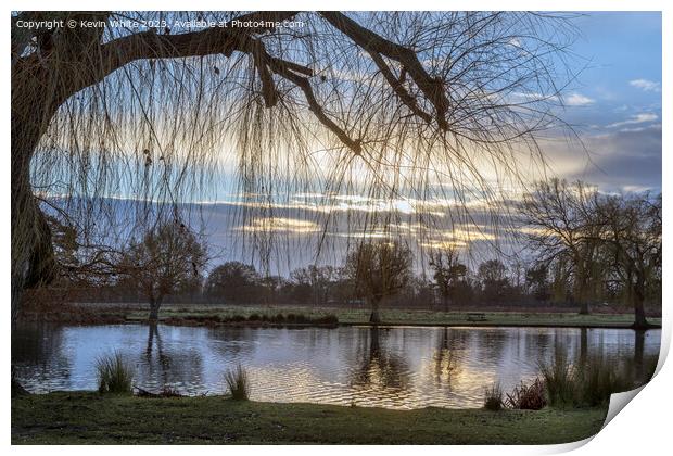 Sunrise in early January at Bushy Park Print by Kevin White