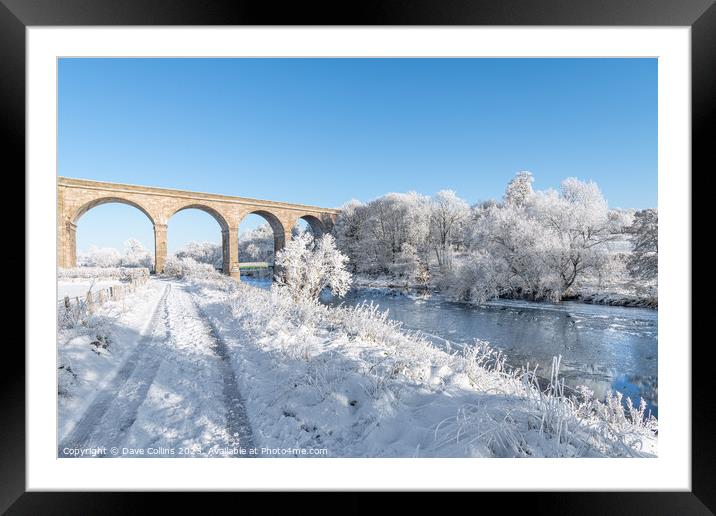 Roxburgh Viaduct over the river teviot in snow in the Scottsih Borders Framed Mounted Print by Dave Collins