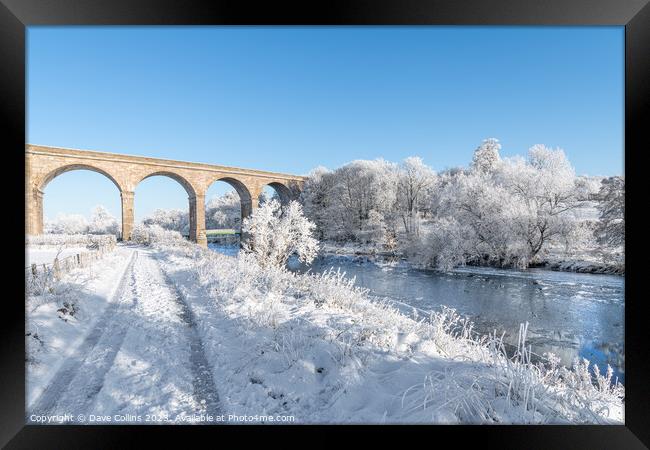 Roxburgh Viaduct over the river teviot in snow in the Scottsih Borders Framed Print by Dave Collins