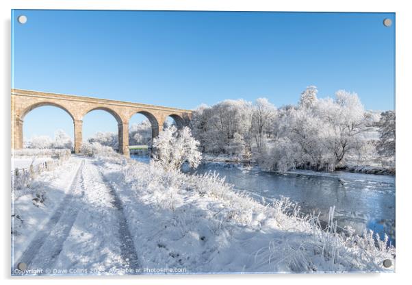 Roxburgh Viaduct over the river teviot in snow in the Scottsih Borders Acrylic by Dave Collins