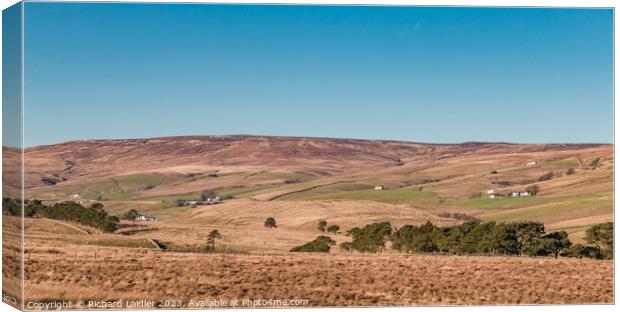 Towards Harwood from the Cow Green Access Road Canvas Print by Richard Laidler