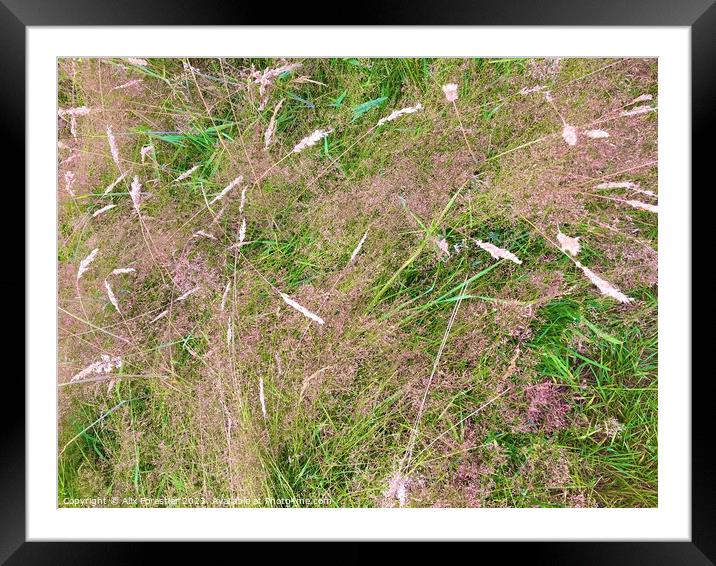 Wild Grass Framed Mounted Print by Alix Forestier
