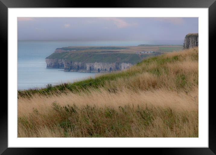 Bempton Cliffs - East Coast Yorkshire Framed Mounted Print by Glen Allen