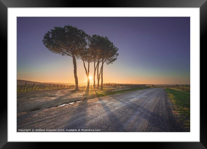 Route of the via Francigena. Stone pine trees at sunset. Tuscany Framed Mounted Print by Stefano Orazzini