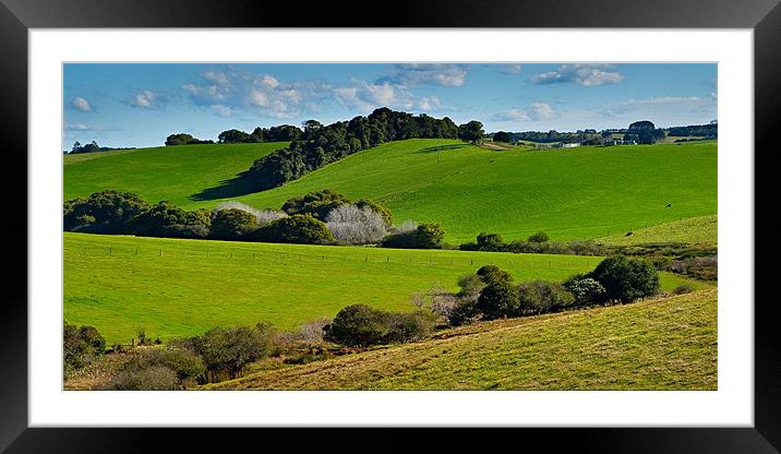 Comboyne Pastures 1 Framed Mounted Print by Dennis Gay