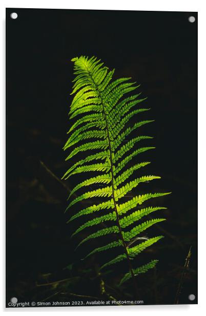 luminous fern Acrylic by Simon Johnson