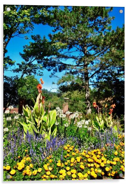 Flowers in the garden Acrylic by Stephanie Moore