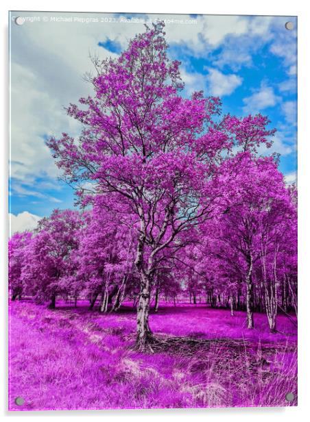 Colorful fantasy landscape in an asian purple infrared photo sty Acrylic by Michael Piepgras