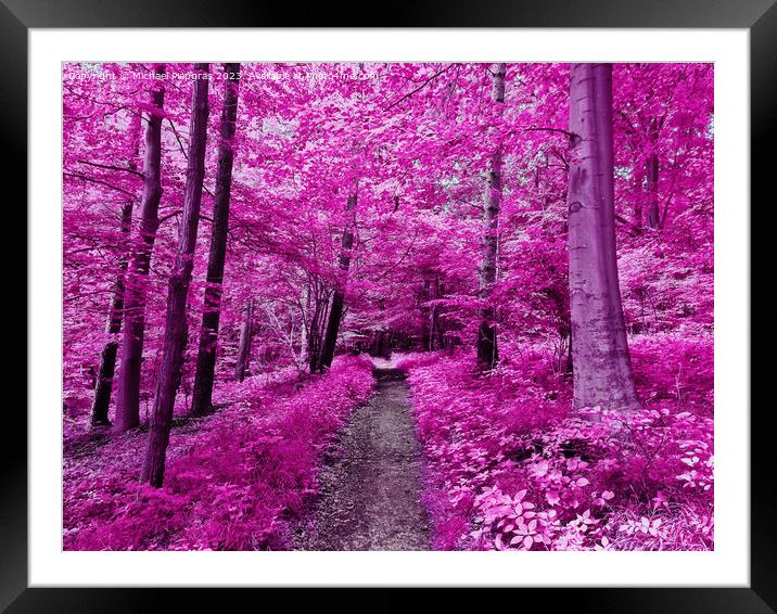 Colorful fantasy landscape in an asian purple infrared photo sty Framed Mounted Print by Michael Piepgras