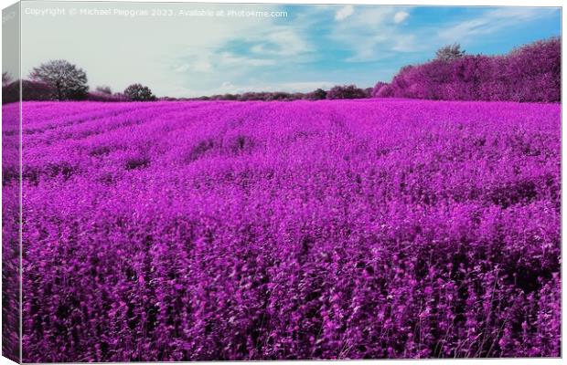 Colorful fantasy landscape in an asian purple infrared photo sty Canvas Print by Michael Piepgras