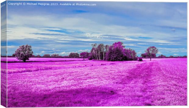 Colorful fantasy landscape in an asian purple infrared photo sty Canvas Print by Michael Piepgras