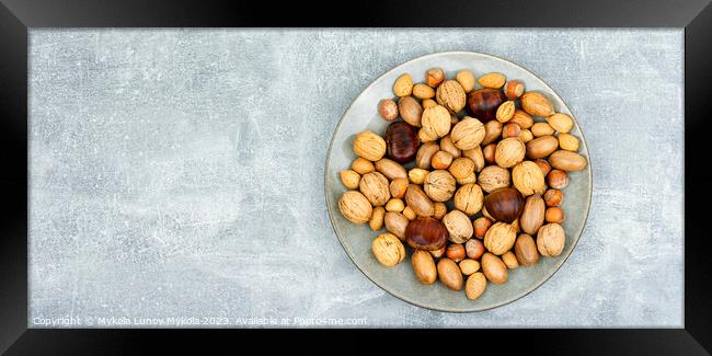 Mixed nuts, space for text Framed Print by Mykola Lunov Mykola