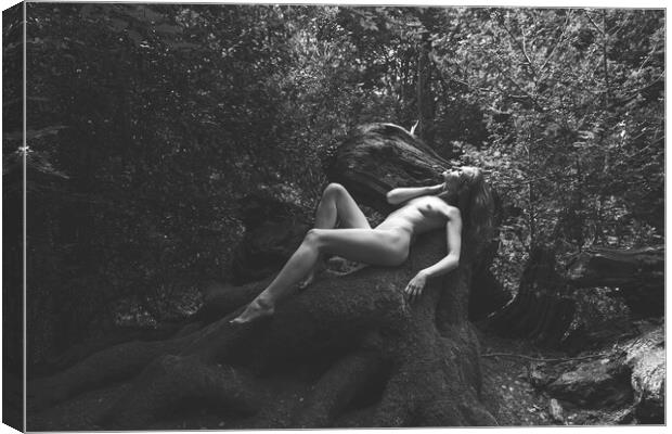 Hiraeth 175 Suzzi - Landscape Art Nude  Canvas Print by Henry Clayton