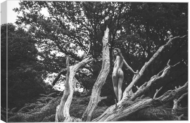 Hiraeth 109 Suzzi - Landscape Art Nude  Canvas Print by Henry Clayton