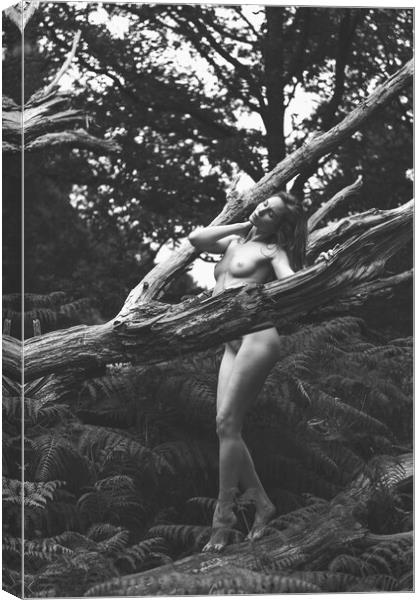 Hiraeth 94 Suzzi - Landscape Art Nude  Canvas Print by Henry Clayton